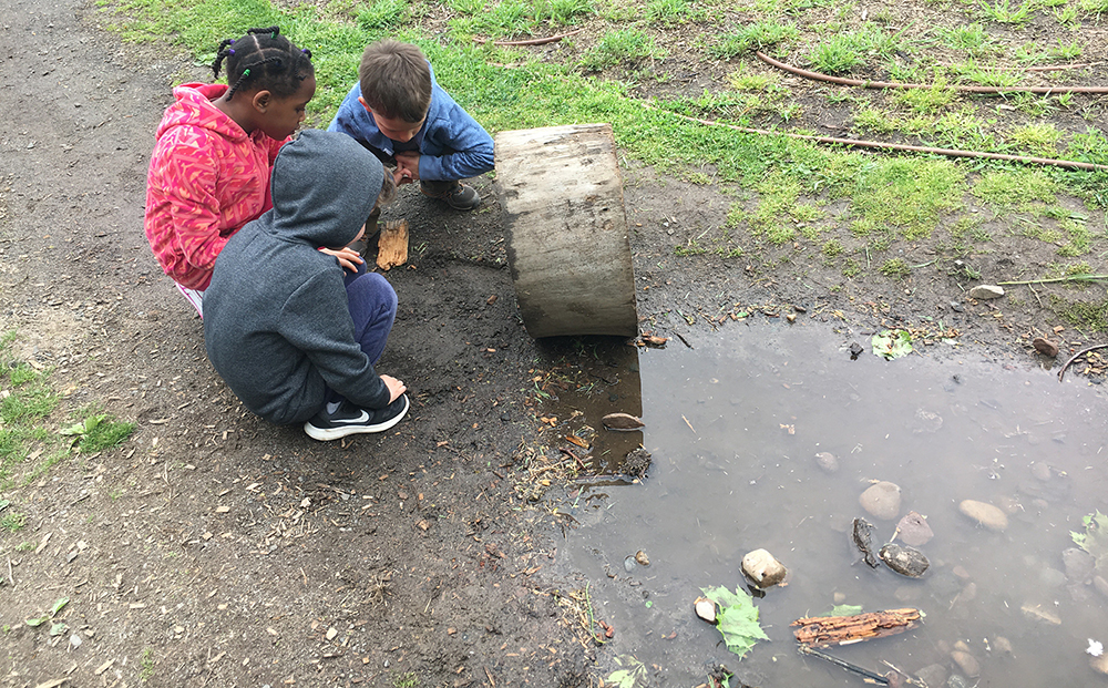 Kindergarten at Alphabet Academy & The Nest